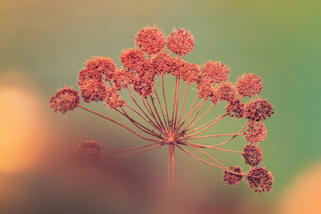 Visa, kas mums duota Dievo, yra reikalinga ir prasminga. Net ir nelengvai pakeliami dalykai: fizinis ir dvasinis skausmas ar neigiami jausmai, tokie kaip liūdesys ar neviltis.