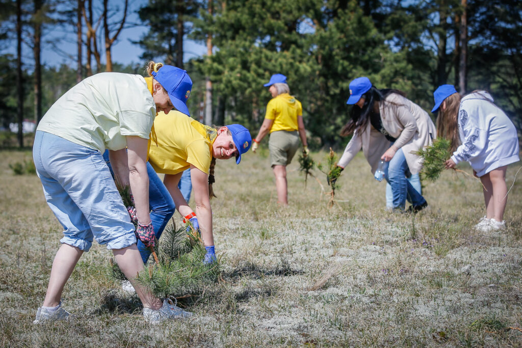 Iki šiol aktyviausiomis išlieka savanorių grupės iš įvairių šalies įmonių. Vis dažniau darbdaviai suteikia darbuotojams pasirinktą skaičių apmokamų darbo dienų per metus, kurias jie gali išnaudoti savanorystei pasirinktoje srityje.